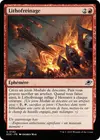 Product image for Lithofreinage