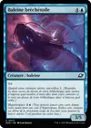 Product image for Baleine brèchétoile