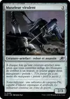 Product image for Museleur virulent