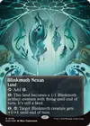 Product image for Blinkmoth Nexus