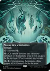 Product image for Nexus des scintimites