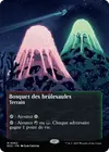 Product image for Bosquet des brûlesaules