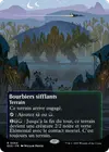 Product image for Bourbiers sifflants