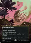 Product image for Champ de lotus