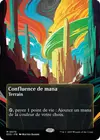 Product image for Confluence de mana