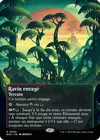 Product image for Ravin enragé