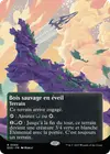 Product image for Bois sauvage en éveil