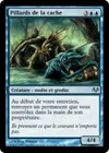 Product image for Pillards de la cache
