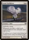Product image for Loyal Gyrfalcon