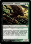 Product image for Arbrisseau de Colfénor