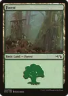 Product image for Forêt