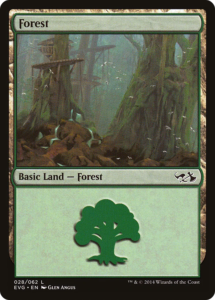 Forêt from Duel Decks Anthology: Elves vs. Goblins - Magic: The Gathering