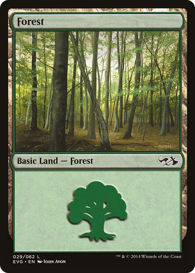 Forêt from Duel Decks Anthology: Elves vs. Goblins - Magic: The Gathering