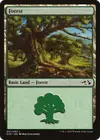 Product image for Forêt