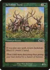 Product image for Jackalope Herd