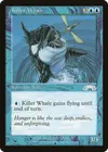 Product image for Killer Whale
