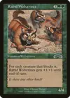 Product image for Rabid Wolverines