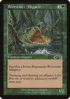 Product image for Rootwater Alligator