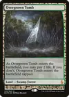 Product image for Overgrown Tomb