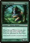 Product image for Eternal Witness