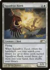 Product image for Squadron Hawk