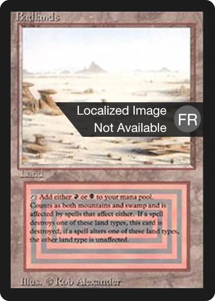 Désolation — Foreign Black Border — Magic: The Gathering