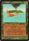 Product image for Oiseaux de paradis