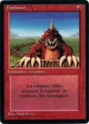 Product image for Fouisseur