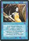 Product image for Creature Bond