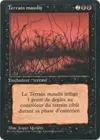Product image for Terrain maudit