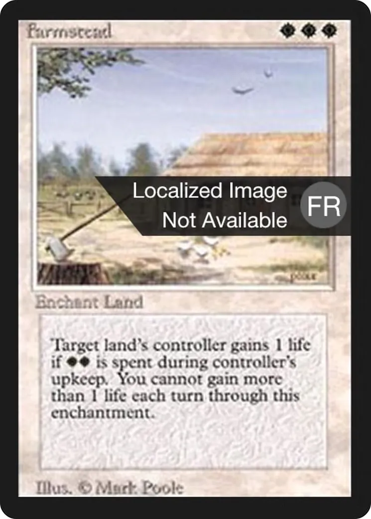 Ferme — Foreign Black Border — Magic: The Gathering
