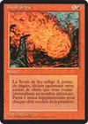 Product image for Boule de feu