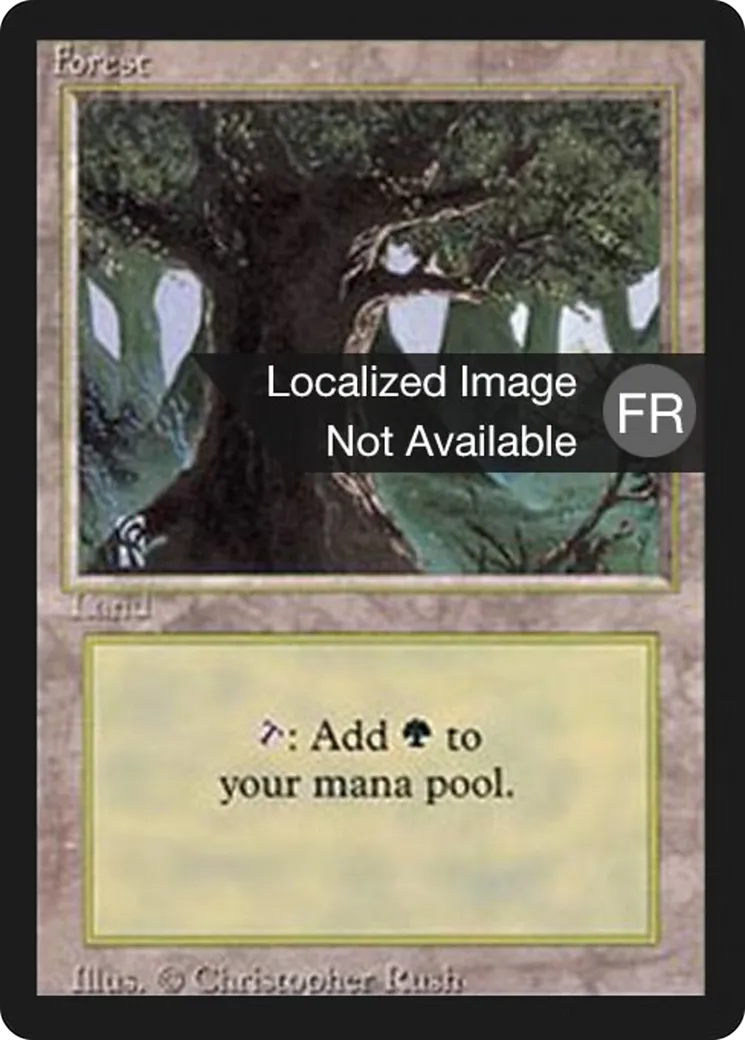 Forest — Foreign Black Border — Magic: The Gathering