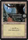 Product image for Forest