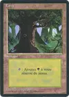 Product image for Forêt