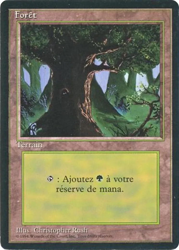 Forêt — Foreign Black Border — Magic: The Gathering