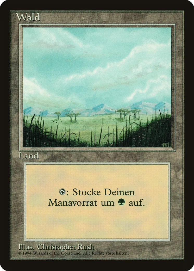Forest — Foreign Black Border — Magic: The Gathering