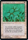 Product image for Green Ward