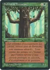 Product image for Sylvins de Ferracine