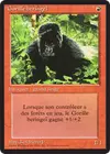 Product image for Gorille beringeï