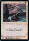 Product image for Lance