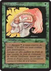 Product image for Elfes de Llanowar