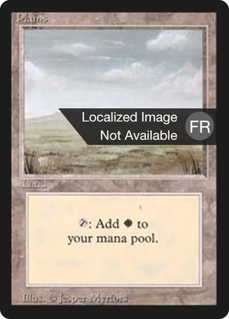Plains — Foreign Black Border — Magic: The Gathering