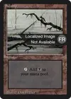 Product image for Swamp