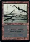 Product image for Swamp