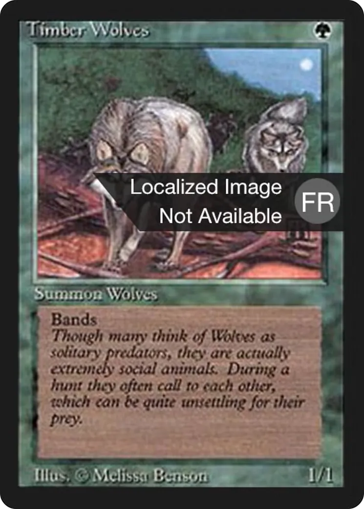Loups des forêts — Foreign Black Border — Magic: The Gathering