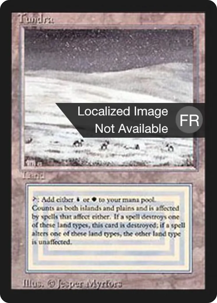 Tundra — Foreign Black Border — Magic: The Gathering