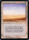 Product image for White Ward