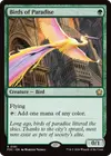 Product image for Oiseaux de paradis