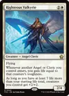 Product image for Valkyrie juste